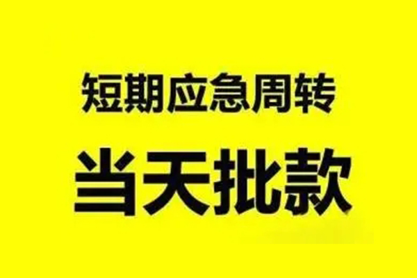 东莞私借小额贷款公司